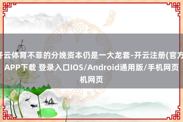 开云体育不菲的分娩资本仍是一大龙套-开云注册(官方)APP下载 登录入口IOS/Android通用版/手机网页