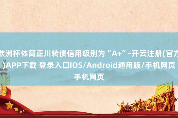 欧洲杯体育正川转债信用级别为“A+”-开云注册(官方)APP下载 登录入口IOS/Android通用版/手机网页