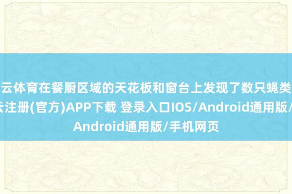 开云体育在餐厨区域的天花板和窗台上发现了数只蝇类及虫豸-开云注册(官方)APP下载 登录入口IOS/Android通用版/手机网页